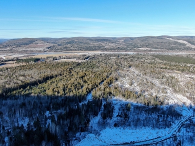 100 Acre Timberland Parcel with a Trout Stream Cabin - image 15