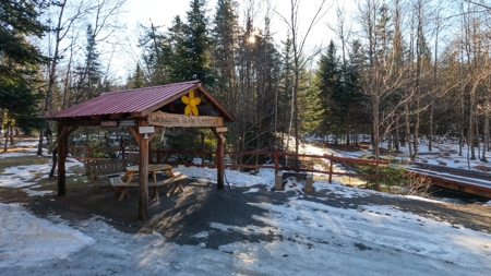 100 Acre Timberland Parcel with a Trout Stream Cabin - image 10