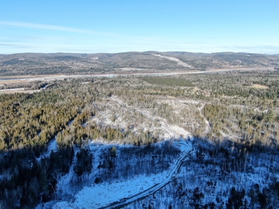 100 Acre Timberland Parcel with a Trout Stream Cabin - image 14