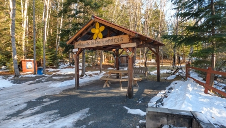 100 Acre Timberland Parcel with a Trout Stream Cabin - image 9