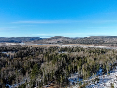 100 Acre Timberland Parcel with a Trout Stream Cabin - image 1