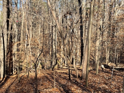 Big Timber Tract with Long Range Mountain and Water views - image 7