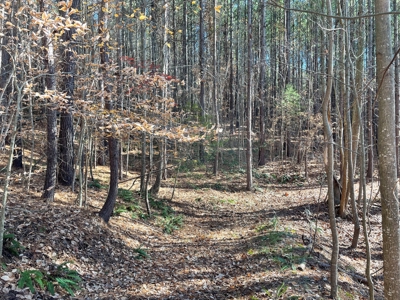 Big Timber Tract with Long Range Mountain and Water views - image 10
