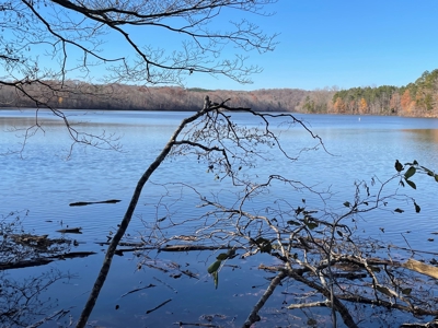 Big Timber Tract with Long Range Mountain and Water views - image 8