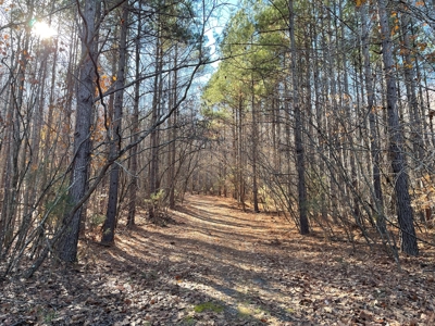 Big Timber Tract with Long Range Mountain and Water views - image 13