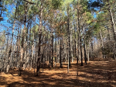 Big Timber Tract with Long Range Mountain and Water views - image 3