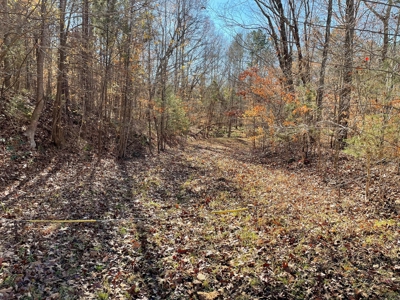 Big Timber Tract with Long Range Mountain and Water views - image 11