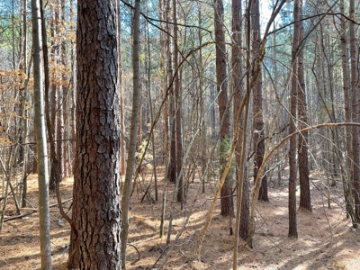 Big Timber Tract with Long Range Mountain and Water views - image 5