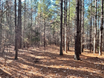 Big Timber Tract with Long Range Mountain and Water views - image 2