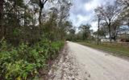 Recreational Lot - Live Oak Florida - Suwannee County Fl! - image 4