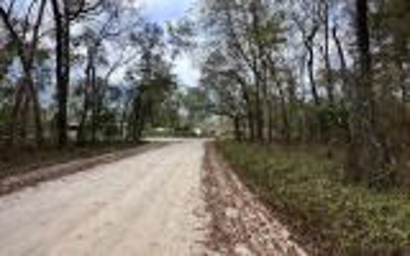 Recreational Lot - Live Oak Florida - Suwannee County Fl! - image 4
