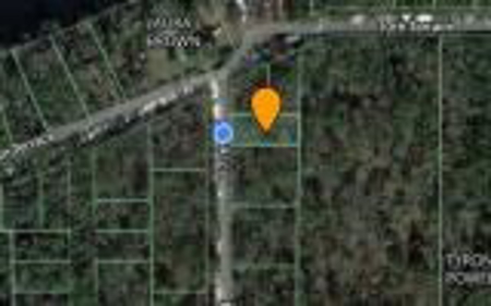 Recreational Lot - Live Oak Florida - Suwannee County Fl! - image 5
