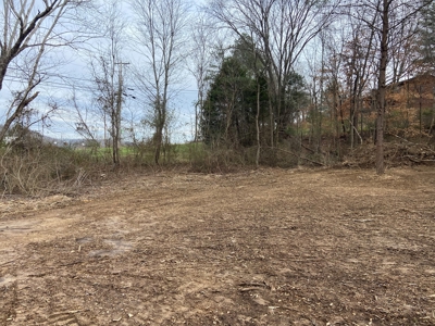 Building Lot In Town-Rd Frontage On Both Sides-Liberty Ky - image 3