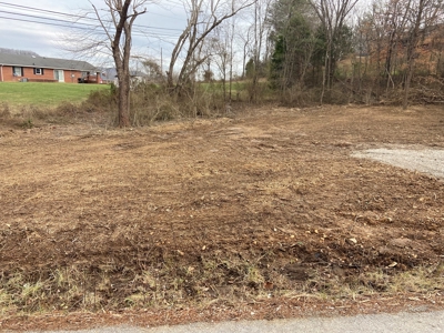 Building Lot In Town-Rd Frontage On Both Sides-Liberty Ky - image 2