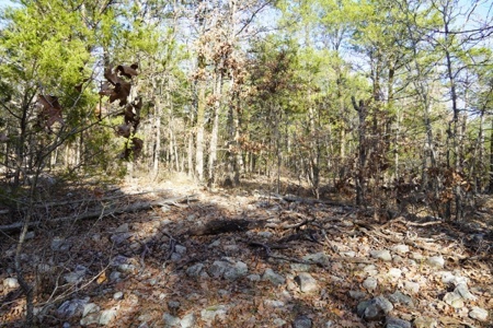 Land For Sale Near National Forest & Kiamichi River Oklahoma - image 20