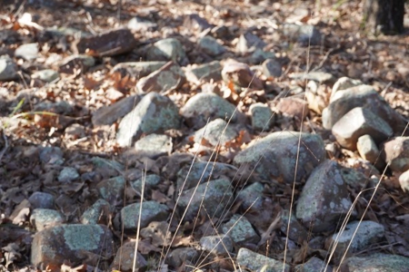 Land For Sale Near National Forest & Kiamichi River Oklahoma - image 39