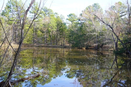 Land For Sale Near National Forest & Kiamichi River Oklahoma - image 34