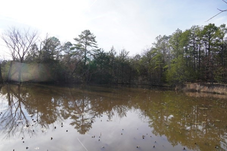 Land For Sale Near National Forest & Kiamichi River Oklahoma - image 27