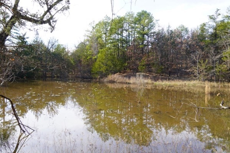 Land For Sale Near National Forest & Kiamichi River Oklahoma - image 23