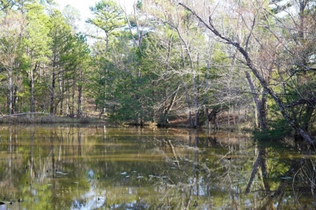 Land For Sale Near National Forest & Kiamichi River Oklahoma - image 35