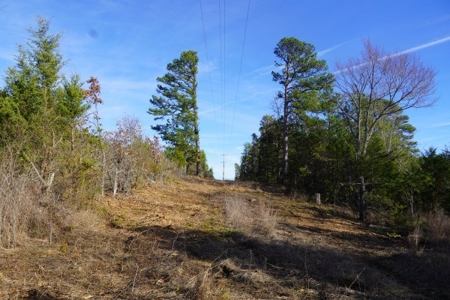 Land For Sale Near National Forest & Kiamichi River Oklahoma - image 13