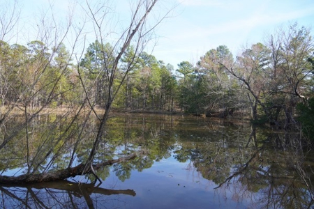 Land For Sale Near National Forest & Kiamichi River Oklahoma - image 33