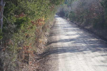 Land For Sale Near National Forest & Kiamichi River Oklahoma - image 3