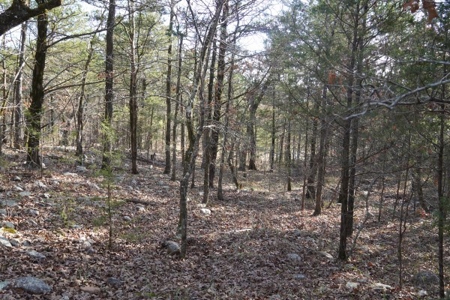 Land For Sale Near National Forest & Kiamichi River Oklahoma - image 18