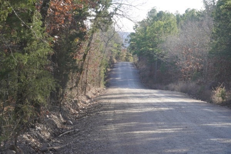 Land For Sale Near National Forest & Kiamichi River Oklahoma - image 4