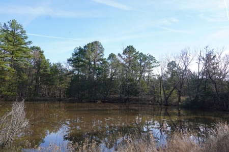 Land For Sale Near National Forest & Kiamichi River Oklahoma - image 30