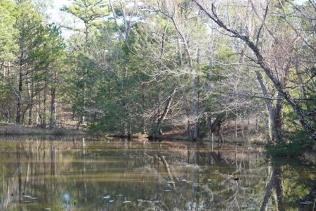 Land For Sale Near National Forest & Kiamichi River Oklahoma - image 36