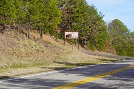 Land For Sale Near National Forest & Kiamichi River Oklahoma - image 43
