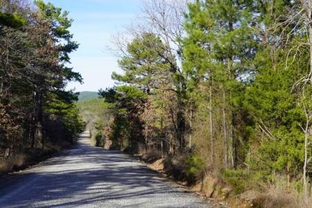 Land For Sale Near National Forest & Kiamichi River Oklahoma - image 6