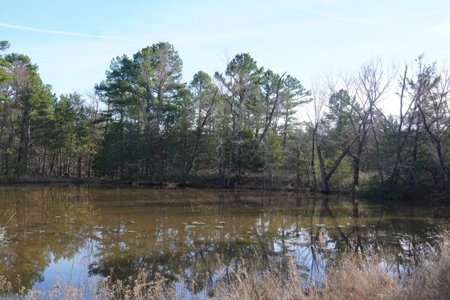 Land For Sale Near National Forest & Kiamichi River Oklahoma - image 31