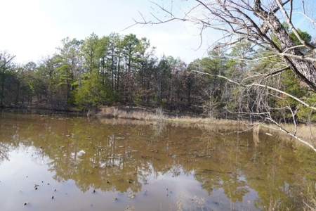 Land For Sale Near National Forest & Kiamichi River Oklahoma - image 28