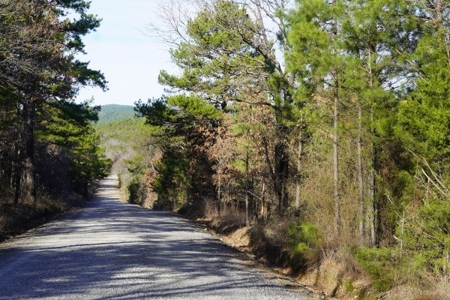 Land For Sale Near National Forest & Kiamichi River Oklahoma - image 7