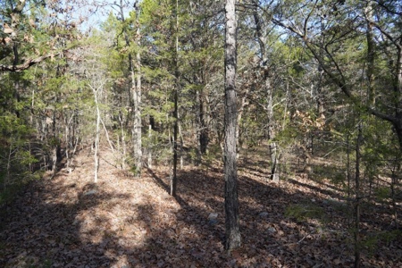 Land For Sale Near National Forest & Kiamichi River Oklahoma - image 16