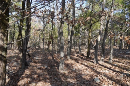 Land For Sale Near National Forest & Kiamichi River Oklahoma - image 25