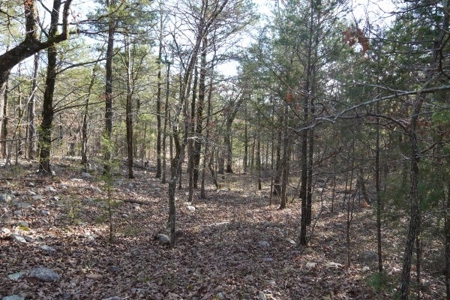 Land For Sale Near National Forest & Kiamichi River Oklahoma - image 17