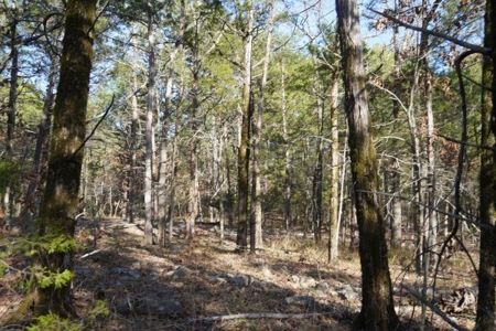 Land For Sale Near National Forest & Kiamichi River Oklahoma - image 19