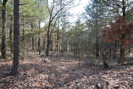 Land For Sale Near National Forest & Kiamichi River Oklahoma - image 15