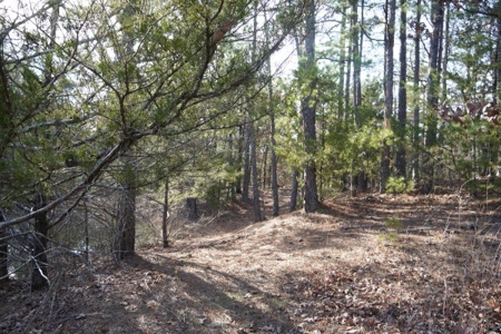 Land For Sale Near National Forest & Kiamichi River Oklahoma - image 32