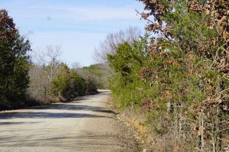 Land For Sale Near National Forest & Kiamichi River Oklahoma - image 5