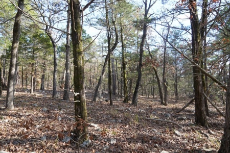 Land For Sale Near National Forest & Kiamichi River Oklahoma - image 22