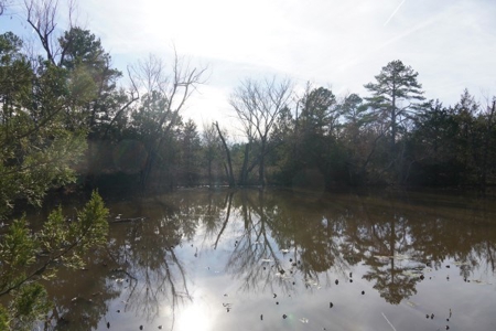 Land For Sale Near National Forest & Kiamichi River Oklahoma - image 26