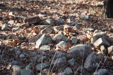 Land For Sale Near National Forest & Kiamichi River Oklahoma - image 37