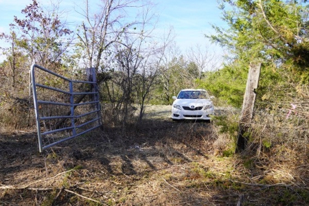Land For Sale Near National Forest & Kiamichi River Oklahoma - image 14
