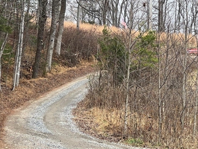 Large Garage and Land for Sale in Stuart VA! - image 13