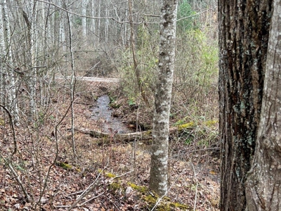 Large Garage and Land for Sale in Stuart VA! - image 10