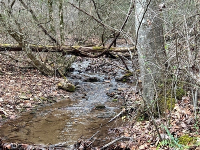 Large Garage and Land for Sale in Stuart VA! - image 12